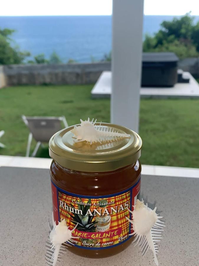 Studio Cozy Melissa Elegance - Guadeloupe , Le Gosier , Dampierre - Avec Pleine Vue Mer - Ocean A 180 Degres Exterior foto
